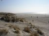 Strand 1